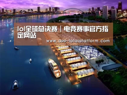案例展示八