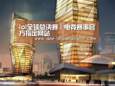 案例展示三