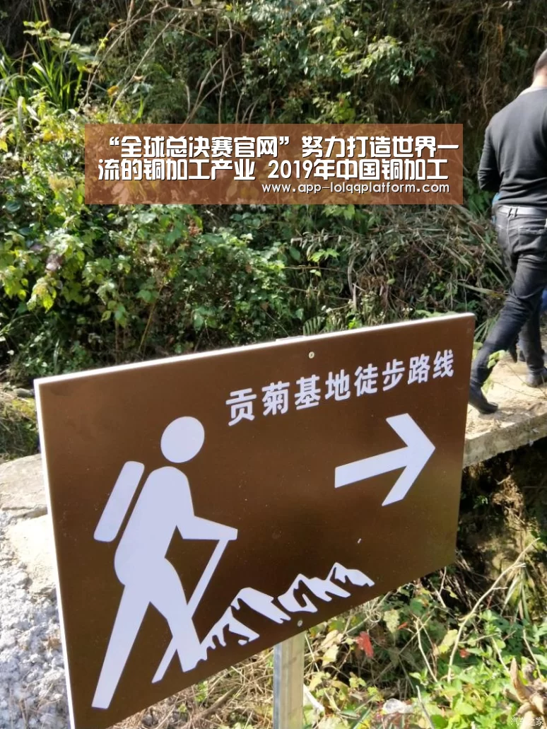 世界赛官网