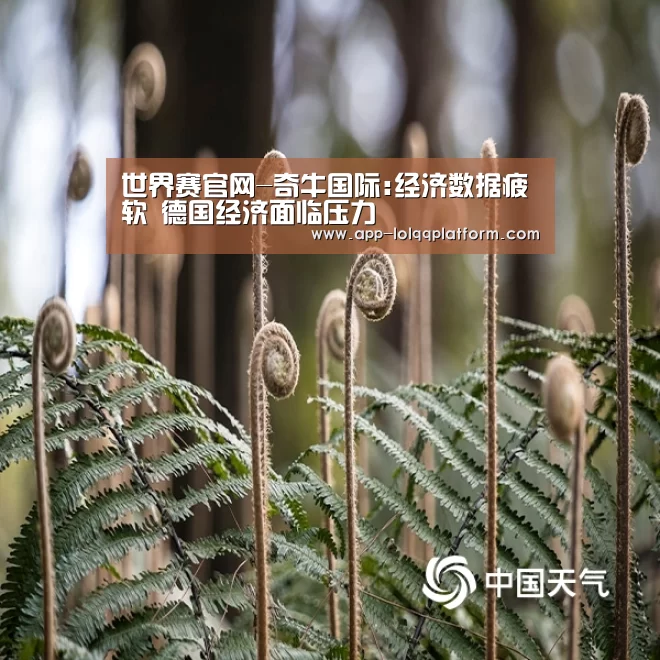 世界赛官网
