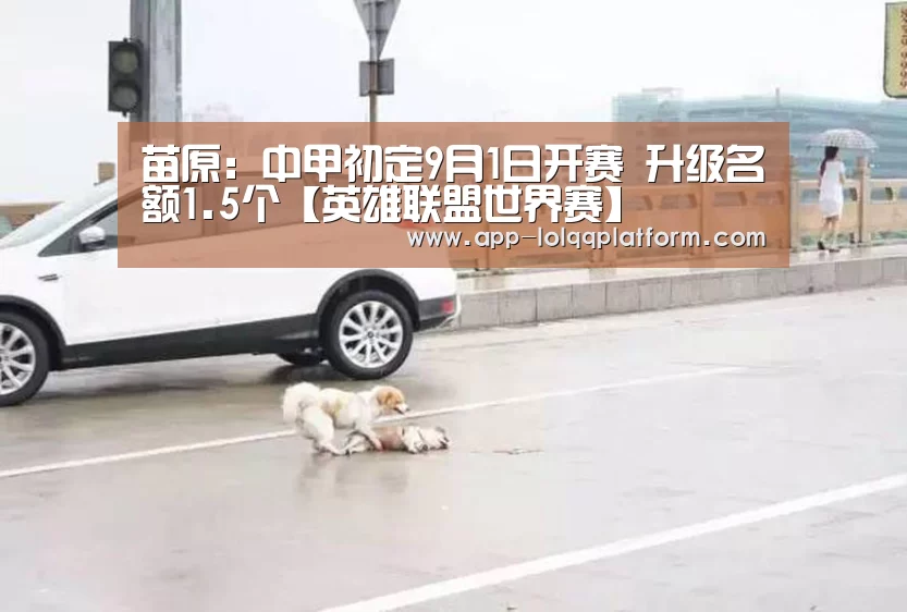 全球总决赛官网