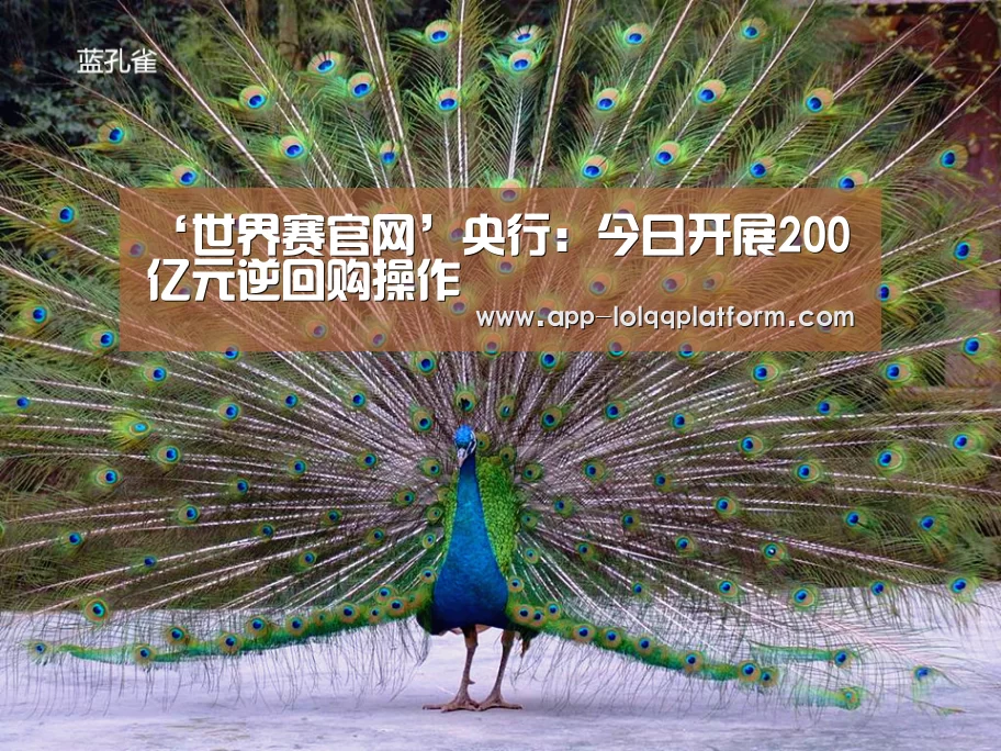 全球总决赛官网