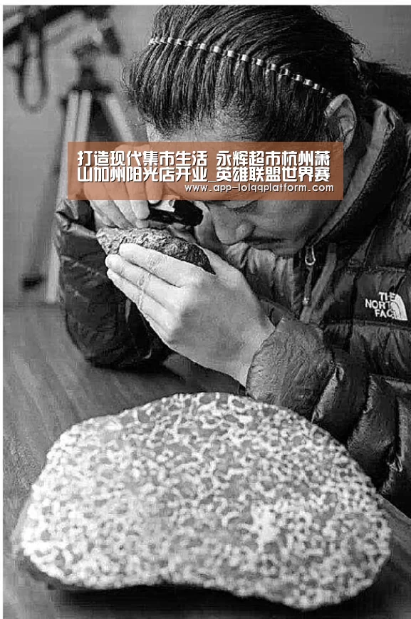 世界赛官网