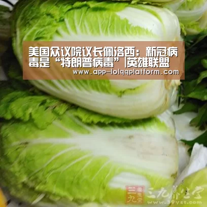 世界赛官网
