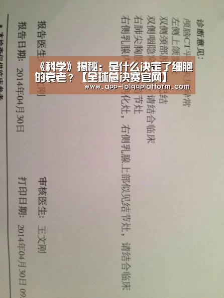 全球总决赛官网