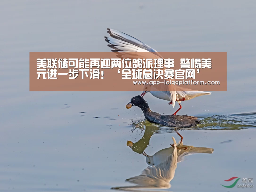 世界赛官网
